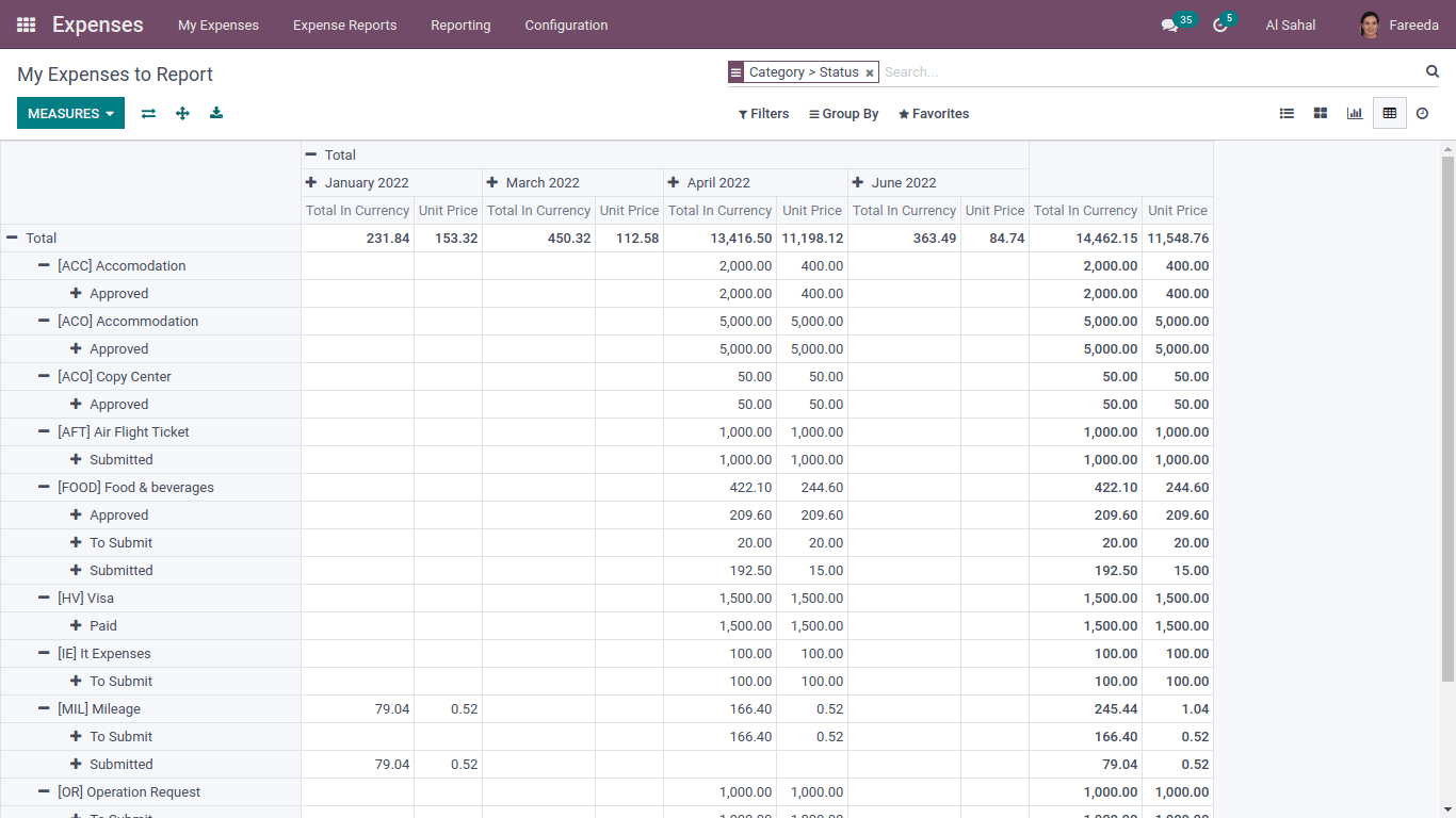 Expense report in pivot view